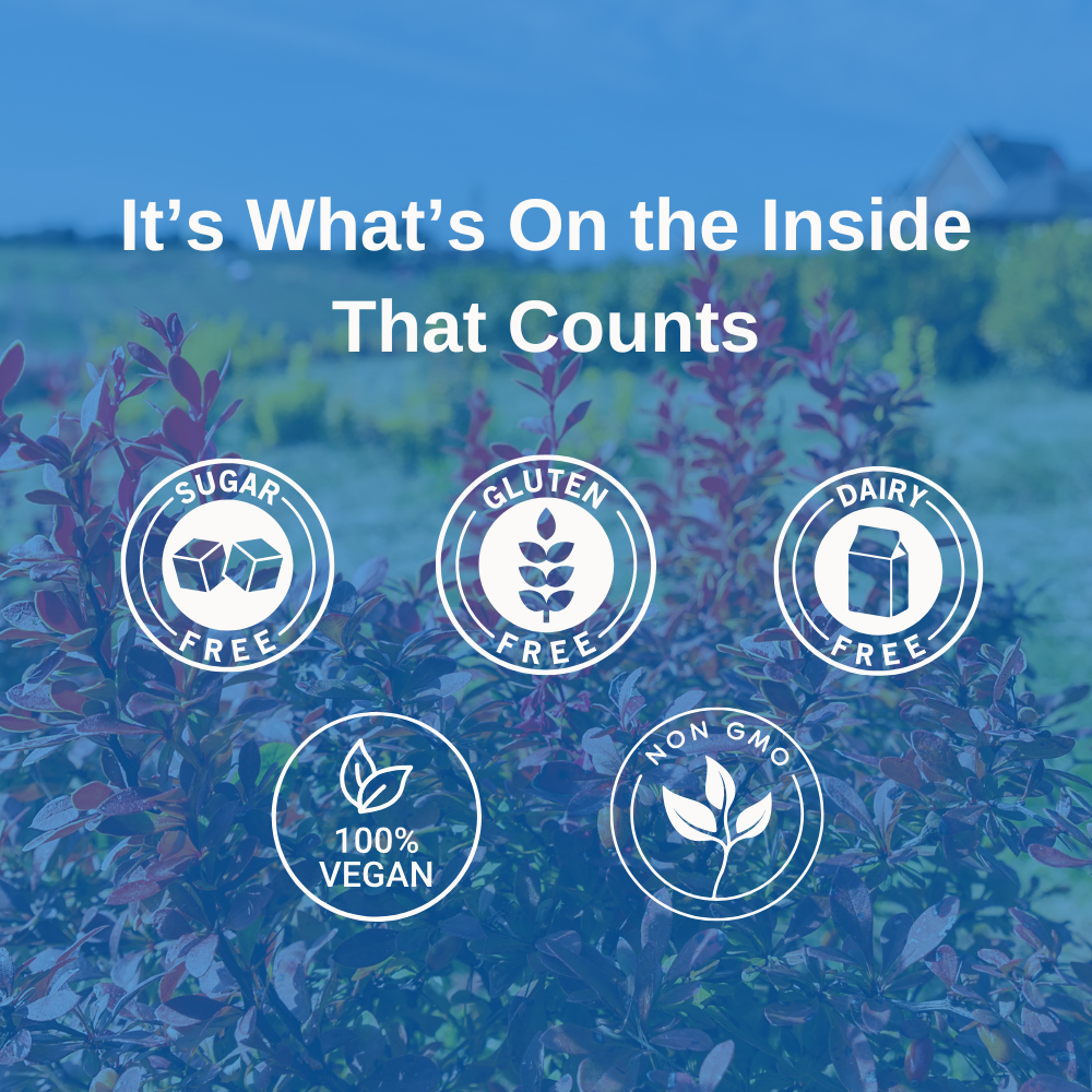 Berberis plant growing in a field with text overlay that states: It's What's On the Inside That Counts. Sugar-free, Gluten-free, Dairy-free, 100% Vegan, Non-GMO.